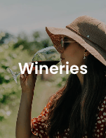 Screen Shot 2022-12-23 at 11.51.01 am-1