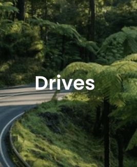 Screen Shot 2022-12-23 at 11.53.21 am