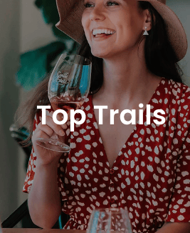 Screen Shot 2022-12-23 at 12.04.47 pm